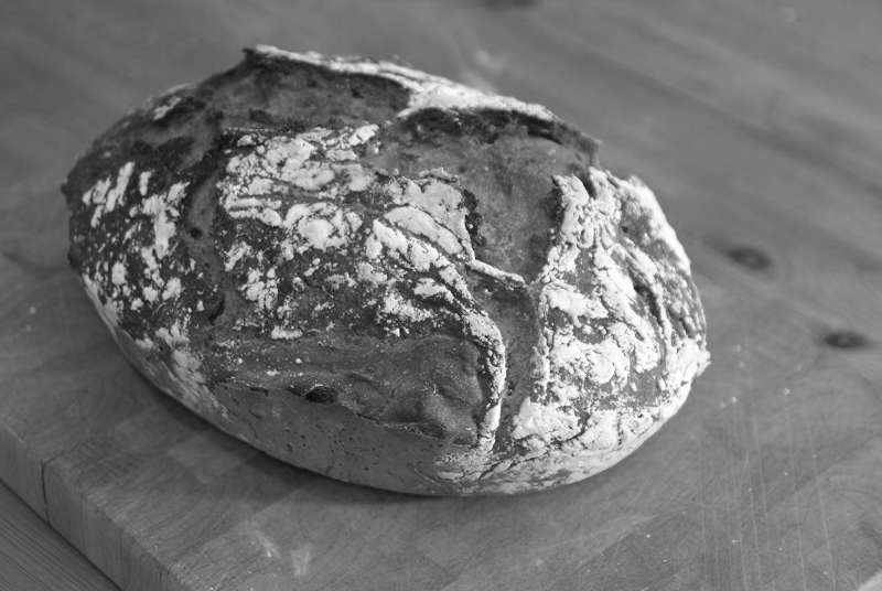 Brot – nicht mehr aber gewiss auch nicht weniger…