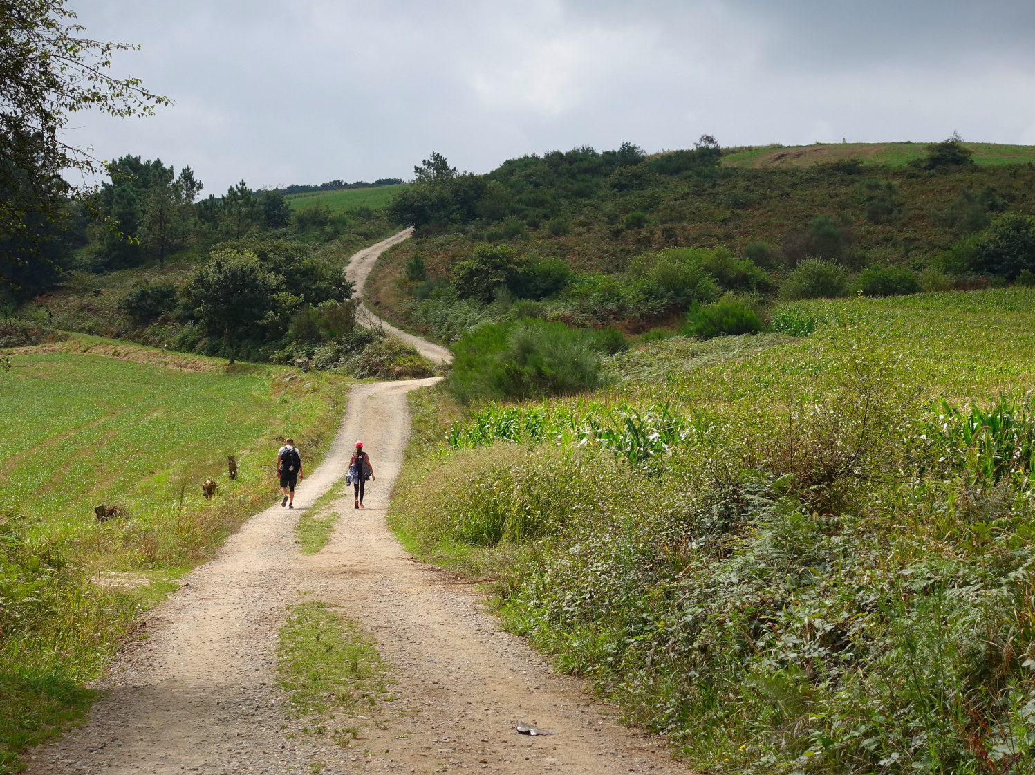 Christoph Menzel Consulting Finanzberatung Finanzcoaching Home